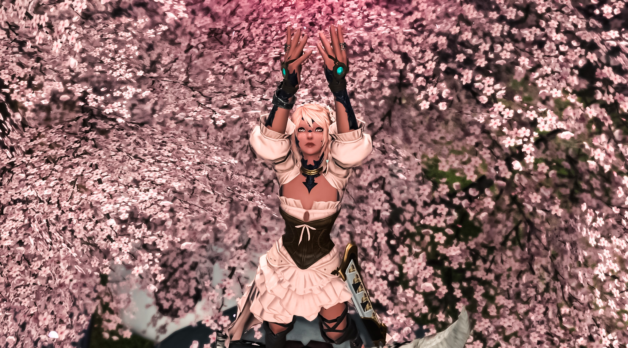 Sakura Magic